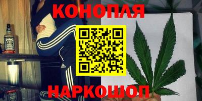 прущие крисы Гусев