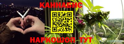 прущие крисы Гусев