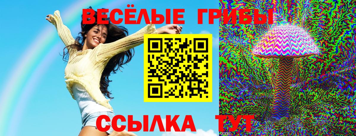 Галлюциногенные грибы GOLDEN TEACHER Коммунар