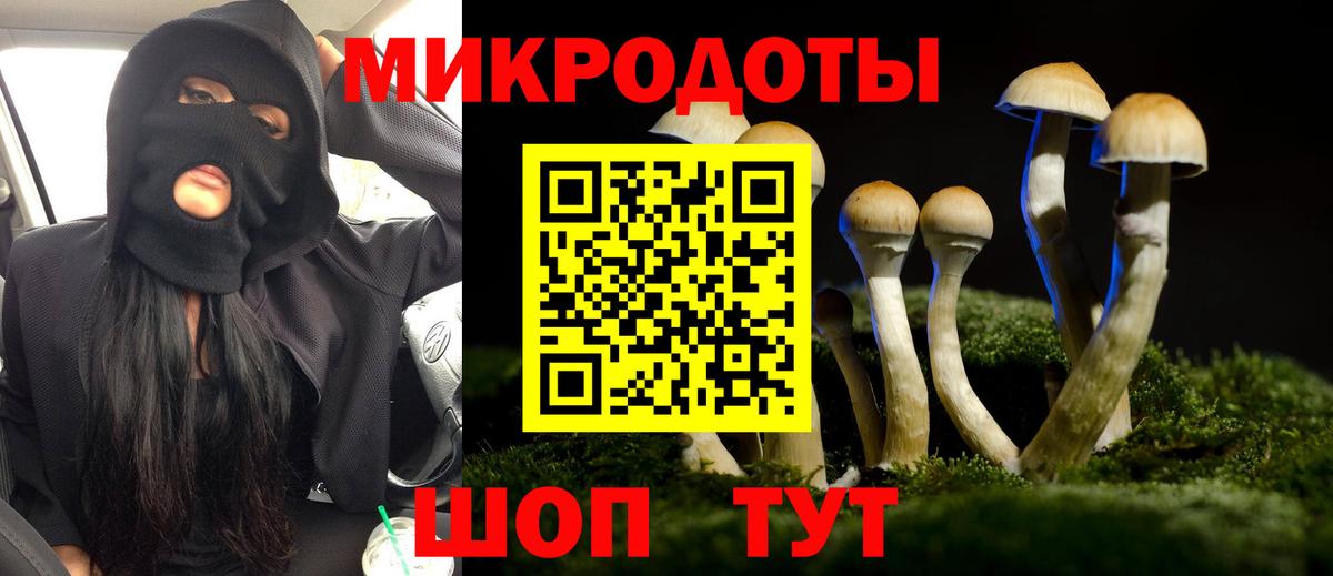 Коммунар  Псилоцибиновые грибы Psilocybe  наркотики  Вход с VPN 